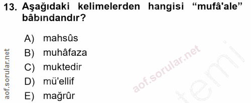 13. soru: Aşağıdaki kelimelerden hangisi "mufâ'ale" bâbındandır? A) mahsûs B) muhâfaza C) muktedir D) mü'ellif E) mağrür