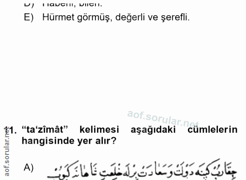 11. soru: DI HANGIlI, NIICII. E) Hürmet görmüş, değerli ve şerefli. aof.sorular.n 21. "ta'zîmât" kelimesi aşağıdaki cümlelerin…