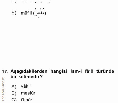 17. soru: E) müril (Lees) 17. Aşağıdakilerden hangisi ism-i fâ'il türünde bir kelimedir? aof.sorular.n A) vâki B) mesfür Cl i't…