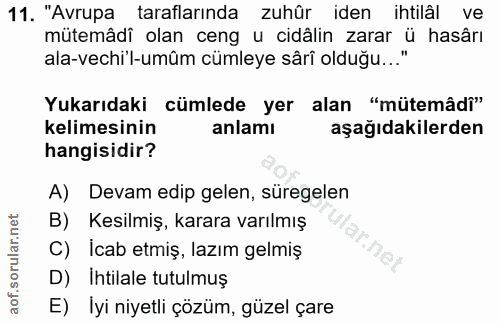 11. soru: "Avrupa taraflarında zuhûr iden ihtilâl ve mütemâdî olan ceng u cidâlin zarar ü hasârı ala-vechi'l-umûm cümleye sârî…