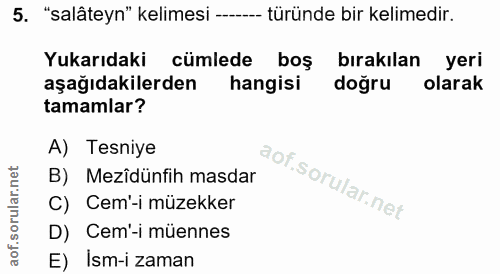 5. soru: "salâteyn" kelimesi -.... --- türünde bir kelimedir. Yukarıdaki cümlede boş bırakılan yeri aşağıdakilerden hangisi do…