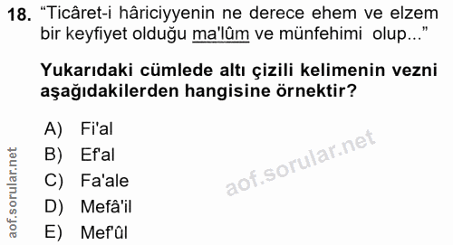 18. soru: . "Ticâret-i hâriciyyenin ne derece ehem ve elzem bir keyfiyet olduğu ma'lûm ve münfehimi olup..." Yukarıdaki cümlede…