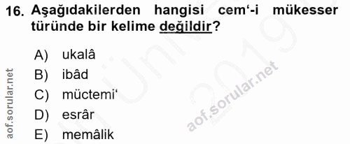 16. soru: Aşağıdakilerden hangisi cem'-i mükesser türünde bir kelime değildir? A) ukalâ B) ibâd müctemi* D) esrâr E) memâlik