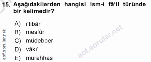 15. soru: Aşağıdakilerden hangisi ism-i fâ'il türünde bir kelimedir? A) i'tibâr B) mesfür C) müdebber D) vâkí E) murahhas