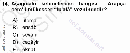 14. soru: Aşağıdaki kelimelerden hangisi Arapça cem'-i mükesser "fu'alâ" veznindedir? A) ulemâ B) ensâb C) sevâhil D) cezâyir E…