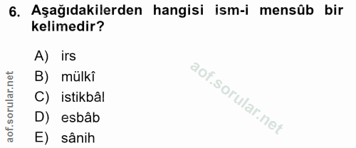 6. soru: Aşağıdakilerden hangisi ism-i mensûb bir kelimedir? A) irs B) mülkî C) istikbâl D) esbâb of. E) sânih
