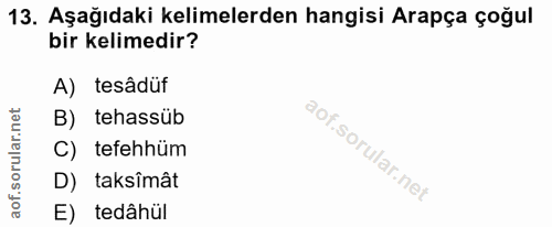 13. soru: Aşağıdaki kelimelerden hangisi Arapça çoğul bir kelimedir? A) tesâdüf B) tehassüb C) tefehhüm D) taksîmât E) tedâhül
