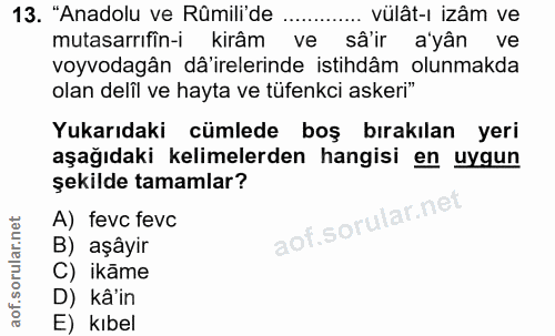13. soru: "Anadolu ve Rûmili'de ... vülât-ı izâm ve mutasarrıfîn-i kirâm ve sâ'ir a'yân ve voyvodagân dâ'irelerinde istihdâm ol…
