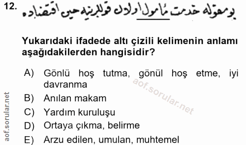 12. soru: Yukarıdaki ifadede altı çizili kelimenin anlamı aşağıdakilerden hangisidir? A) Gönlü hoş tutma, gönül hoş etme, iyi d…