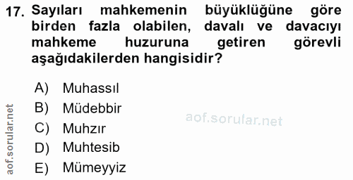 17. soru: Sayıları mahkemenin büyüklüğüne göre birden fazla olabilen, davalı ve davacıyı mahkeme huzuruna getiren görevli aşağı…