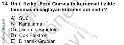 13. soru: Unlü fizikçi Feza Gürsey'in kuramsal fizikte tanınmasını sağlayan kuramın adı nedir? A) SU6 B) Kanallama C) Dinamik S…