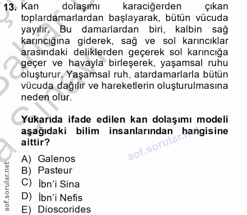 13. soru: Kan dolaşımı karaciğerden Çıkan toplardamarlardan başlayarak, bütün vücuda yayılır. Bu damarlardan biri, kalbin sağ k…