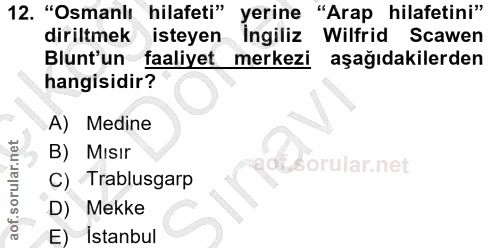12. soru: "Osmanlı hilafeti" yerine "Arap hilafetini" diriltmek isteyen Ingiliz Wilfrid Scawen Blunt'un faaliyet merkezi aşağıd…