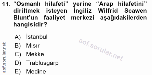 11. soru: "Osmanlı hilafeti" yerine "Arap hilafetini" diriltmek isteyen Ingiliz Wilfrid Scawen Blunt'un faaliyet merkezi aşağıd…