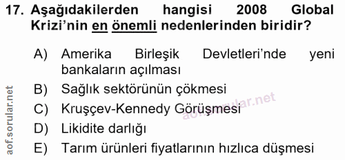 17. soru: Aşağıdakilerden hangisi 2008 Global Krizi'nin en önemli nedenlerinden biridir? A) Amerika Birleşik Devletleri'nde yen…