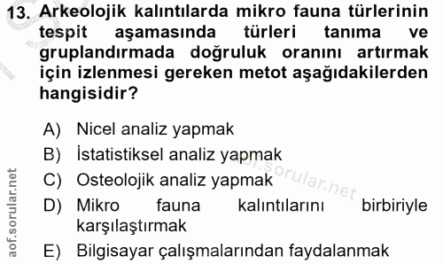 13. soru: Arkeolojik kalıntılarda mikro fauna türlerinin tespit aşamasında türleri tanima ve gruplandırmada doğruluk oranını ar…