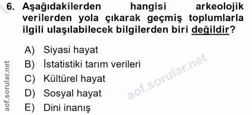 6. soru: Aşağıdakilerden hangisi arkeolojik verilerden yola çıkarak geçmiş toplumlarla ilgili ulaşılabilecek bilgilerden biri…