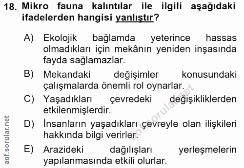 18. soru: Mikro fauna kalıntılar ile ilgili aşağıdaki ifadelerden hangisi yanlıştır? A) Ekolojik bağlamda yeterince hassas olma…