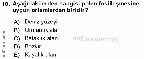 10. soru: Aşağıdakilerden hangisi polen fosilleşmesine uygun ortamlardan biridir? A) Deniz yüzeyi B) Ormanlık alan C) Bataklık…