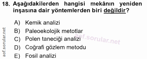 18. soru: Aşağıdakilerden hangisi mekânın yeniden inşasına dair yöntemlerden biri değildir? A) Kemik analizi B) Paleoekolojik m…