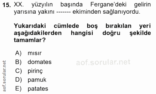 15. soru: XX. yüzyılın başında Fergane'deki gelirin yarısına yakını --- ekiminden sağlanıyordu. Yukarıdaki cümlede boş bırakıla…
