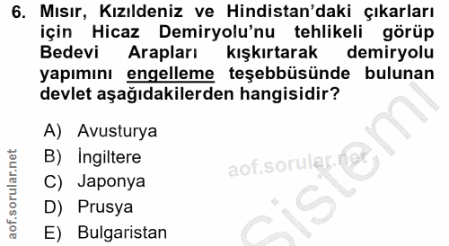 6. soru: Mısır, Kızıldeniz ve Hindistan'daki çıkarları için Hicaz Demiryolu'nu tehlikeli görüp Bedevi Arapları kışkırtarak dem…