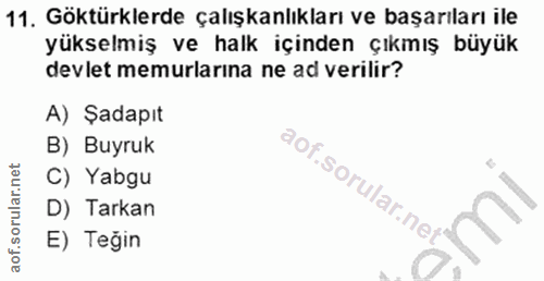 11. soru: Göktürklerde çalışkanlıkları ve başarıları ile yükselmiş ve halk içinden çıkmış büyük devlet memurlarina ne ad verili…