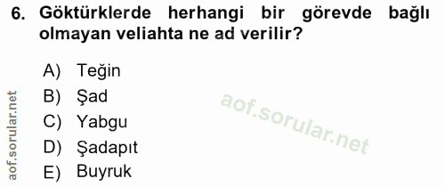 6. soru: Göktürklerde herhangi bir görevde bağlı olmayan veliahta ne ad verilir? A) Teğin B) Şad C) Yabgu D) Şadapıt E) Buyruk