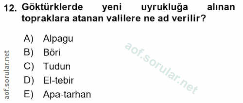 12. soru: Göktürklerde yeni uyrukluğa alınan topraklara atanan valilere ne ad verilir? A) Alpagu B) Böri C) Tudun D) El-tebir E…