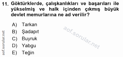11. soru: Göktürklerde, çalışkanlıkları ve başarıları ile yükselmiş ve halk içinden çıkmış büyük devlet memurlarına ne ad veril…