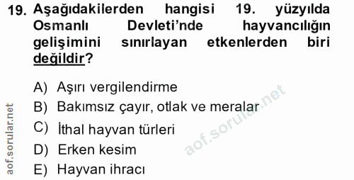 19. soru: Aşağıdakilerden hangisi 19. yüzyılda Osmanlı Devleti'nde hayvancılığın gelişimini sınırlayan etkenlerden biri değildi…