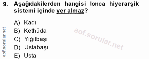 9. soru: Aşağıdakilerden hangisi lonca hiyerarşik sistemi içinde yer almaz? A) Kadı B) Kethüda C) Yiğitbaşı D) Ustabaşı E) Usta