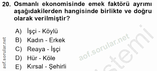 20. soru: Osmanlı ekonomisinde emek faktörü ayrımı aşağıdakilerden hangisinde birlikte ve doğru olarak verilmiştir? A) Işçi - K…