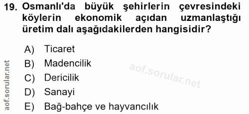 19. soru: Osmanlı'da büyük şehirlerin çevresindeki köylerin ekonomik açıdan uzmanlaştığı üretim dalı aşağıdakilerden hangisidir…