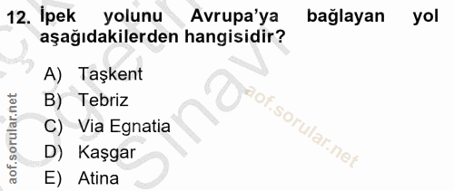 12. soru: İpek yolunu Avrupa'ya bağlayan yol aşağıdakilerden hangisidir? A) Taşkent B) Tebriz p C) Via Egnatia D) Kaşgar E) Atina