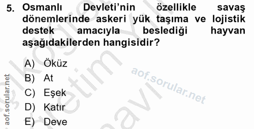 5. soru: Osmanlı Devleti'nin özellikle savaş dönemlerinde askeri yük taşıma ve lojistik destek amacıyla beslediği hayvan aşağı…