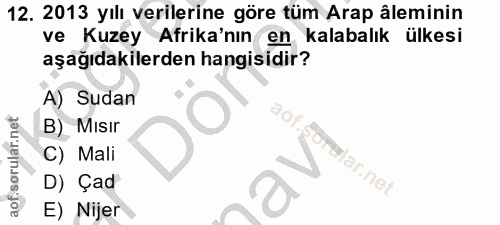 12. soru: 2013 yılı verilerine göre tüm Arap âleminin ve Kuzey Afrika'nın en kalabalık ülkesi aşağıdakilerden hangisidir? A) Su…