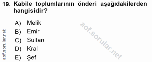 19. soru: Kabile toplumlarının önderi aşağıdakilerden hangisidir? A) Melik B) Emir C) Sultan D) Kral E) Şef