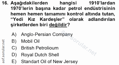16. soru: Aşağıdakilerden hangisi 1910'lardan 1970 lerin başına kadar petrol endüstrisinin "Yedi Kız Kardeşler" olarak adlandır…