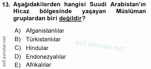 13. soru: Aşağıdakilerden hangisi Suudi Arabistan'ın Hicaz bölgesinde • yaşayan Müslüman gruplardan biri değildir? A) Afganista…