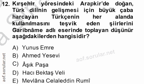 12. soru: Kırşehir yöresindeki Arapkir'de doğan, Türk dilinin gelişmesi için büyük çaba harcayan Türkçenin her alanda kullanılm…