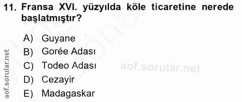 11. soru: Fransa XVI. yüzyılda köle ticaretine nerede başlatmıştır? A) Guyane B) Gorée Adası C) Todeo Adası D) Cezayir E) Madag…