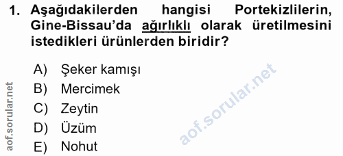 1. soru: Aşağıdakilerden hangisi Portekizlilerin, Gine-Bissau'da ağırlıklı olarak üretilmesini istedikleri ürünlerden biridir?…