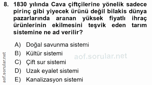 8. soru: 1830 yılında Cava çiftçilerine yönelik sadece pirinç gibi yiyecek ürünü değil bilakis dünya pazarlarında aranan yükse…