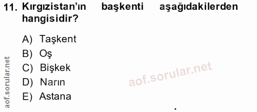 11. soru: Kırgızistan'ın başkenti aşağıdakilerden hangisidir? A) Taşkent B) Oş C) Bişkek D) Narın E) Astana