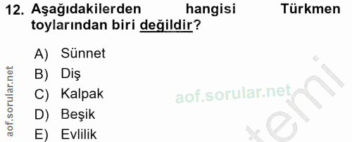 12. soru: Aşağıdakilerden hangisi Türkmen toylarından biri değildir? A) Sünnet B) Diş C) Kalpak D) Beşik E) Evlilik