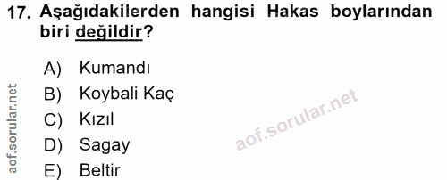17. soru: Aşağıdakilerden hangisi Hakas boylarından biri değildir? A) Kumandı B) Koybali Kaç C) Kızıl D) Sagay E) Beltir
