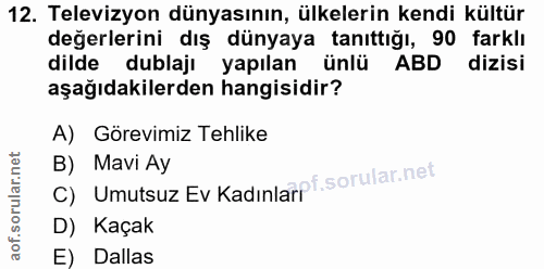 12. soru: Televizyon dünyasının, ülkelerin kendi kültür değerlerini dış dünyaya tanıttığı, 90 farklı dilde dublajı yapılan ünlü…