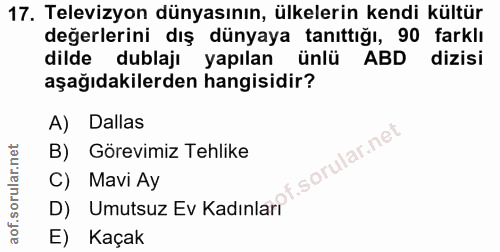 17. soru: Televizyon dünyasının, ülkelerin kendi kültür değerlerini dış dünyaya tanıttığı, 90 farklı dilde dublajı yapılan ünlü…