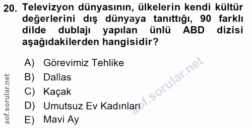 20. soru: Televizyon dünyasının, ülkelerin kendi kültür değerlerini dış dünyaya tanıttığı, 90 farklı dilde dublajı yapılan ünlü…